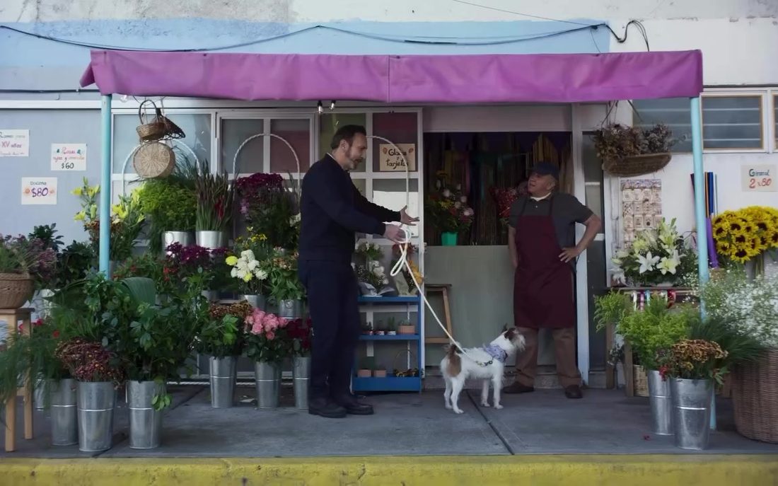 Fotograma de Bailando solo: puesto de flores callejero con toldo morado, un perro blanco y dos hombres conversando